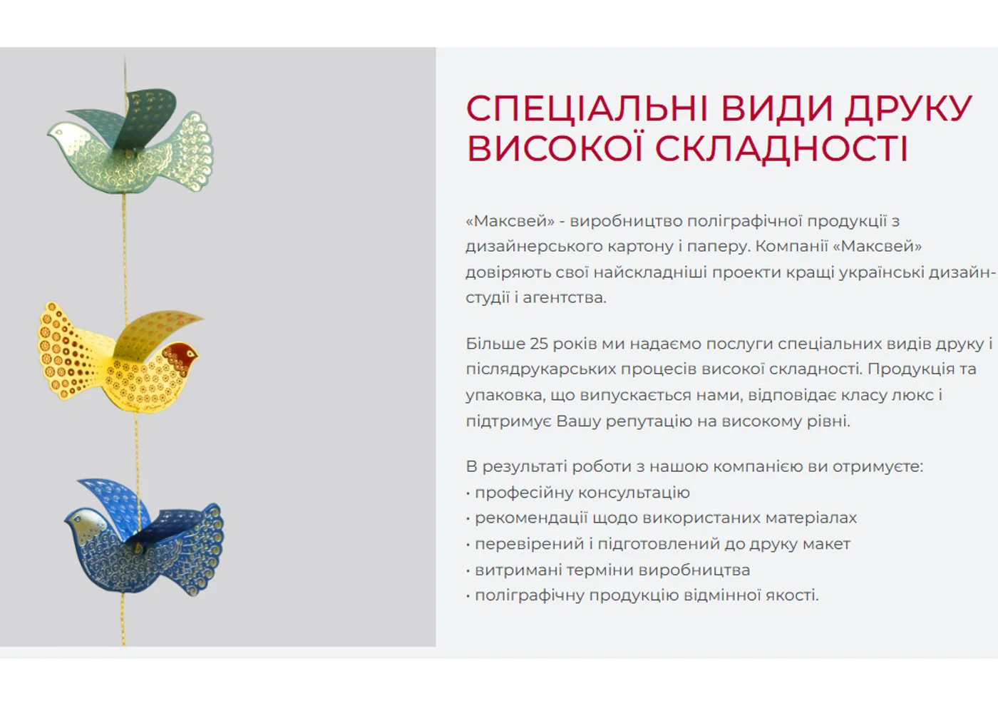 Project Image 2