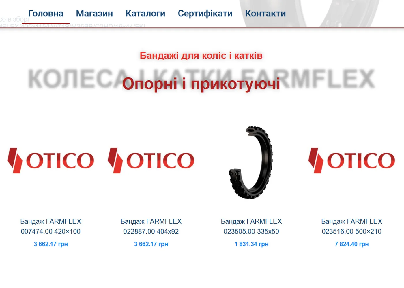 Project Image 1
